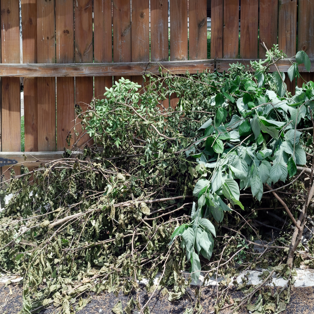 Location benne rapide et écologique Saint Tropez - Lacroix | Les Bennes du Var